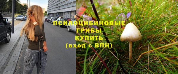 бошки Армянск