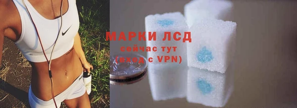 стафф Аркадак