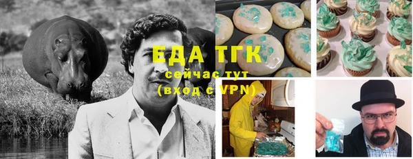 стафф Аркадак