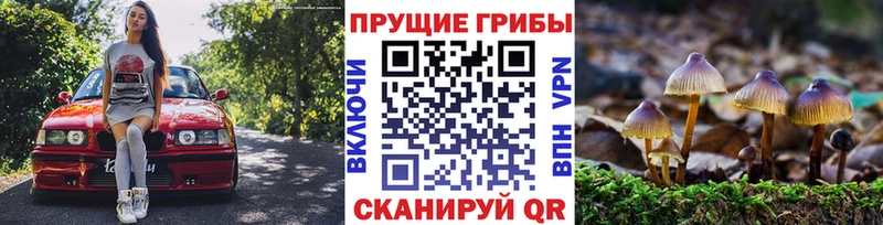 наркошоп  Арск  Галлюциногенные грибы ЛСД 